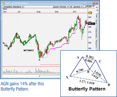Fibonacci Trader
